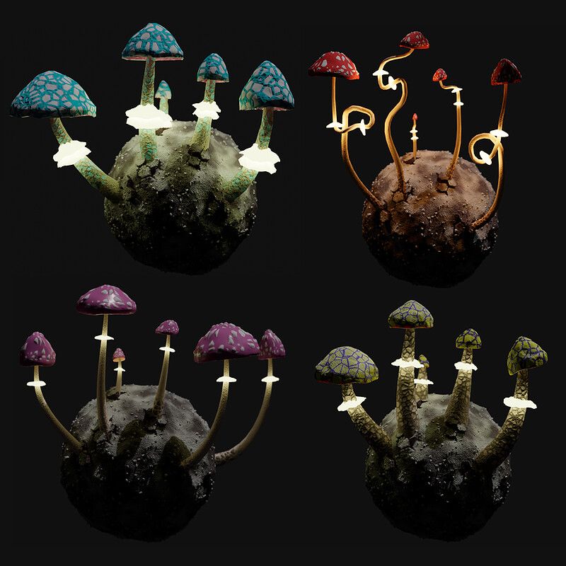 magical mushrooms
