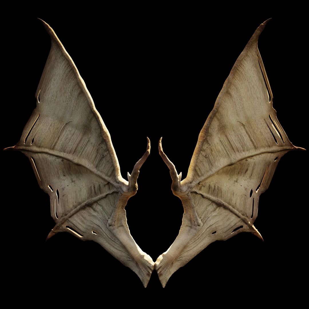 Wings for Res Mortifera Rigging