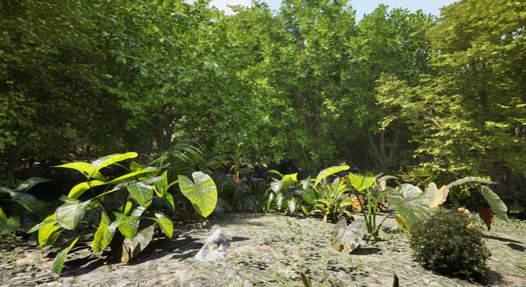 Forest Environment