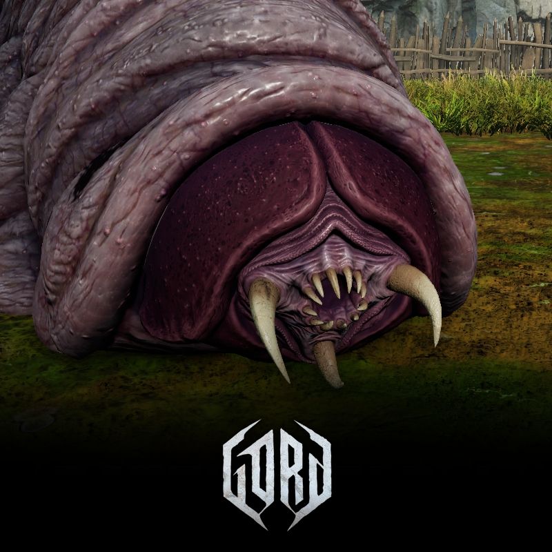 Gord- Saragash larva