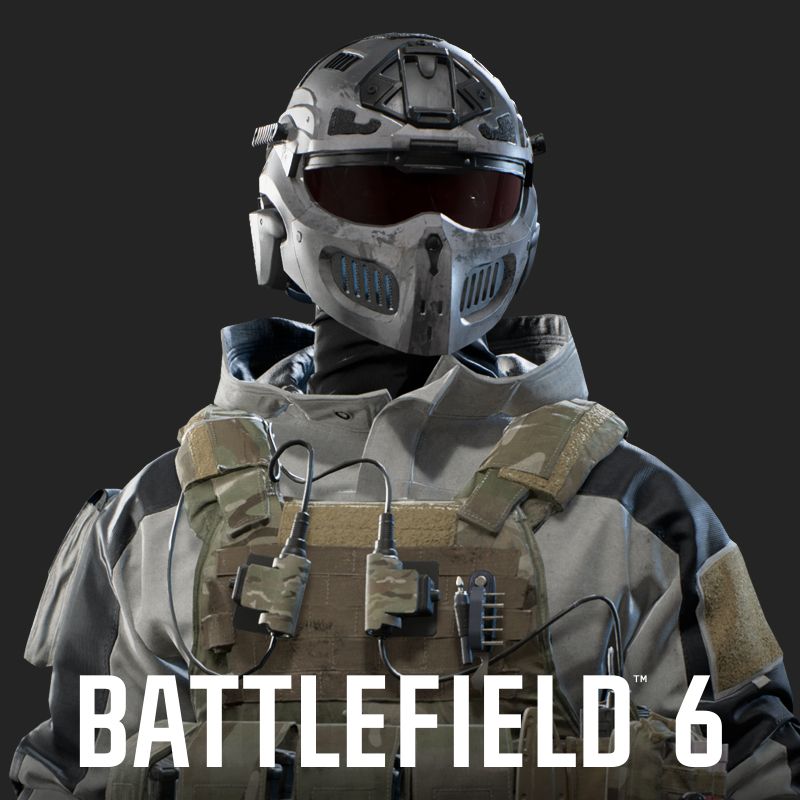 Battlefield Multiplayer skin 1