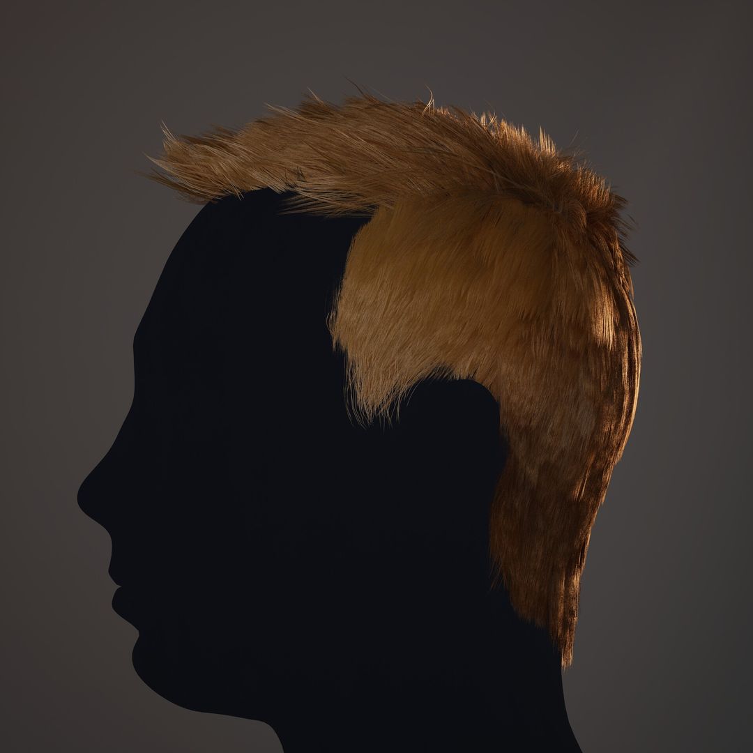 Hair Card Grooms