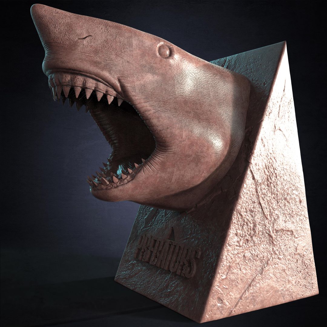 The White Shark Predator