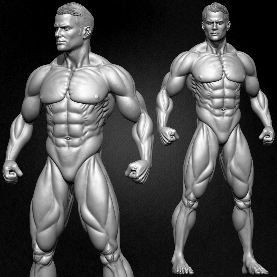 Super-Hero Basemesh 3D Model