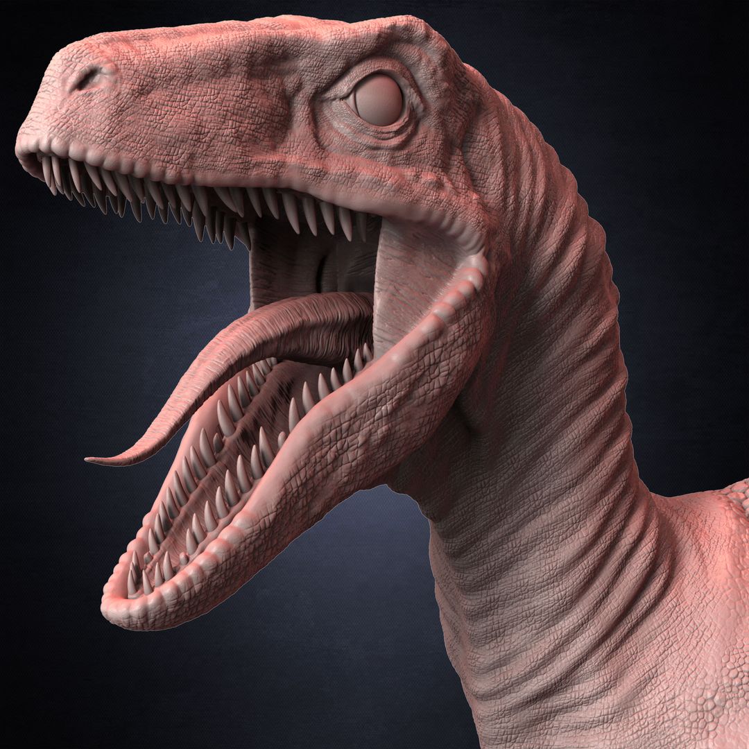 The Raptor