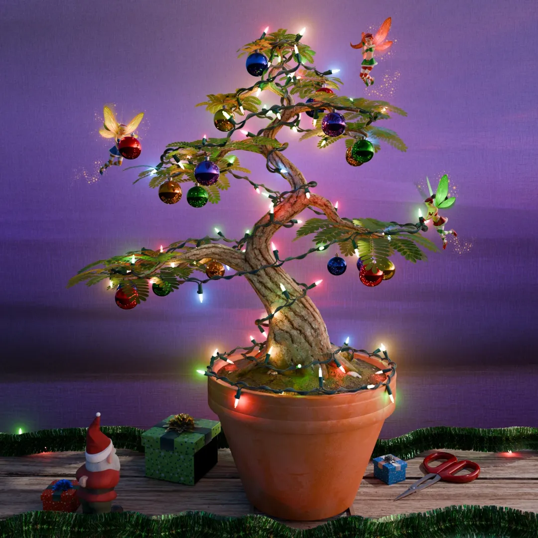 Christmas Lights on Tamarind Bonsai Tree