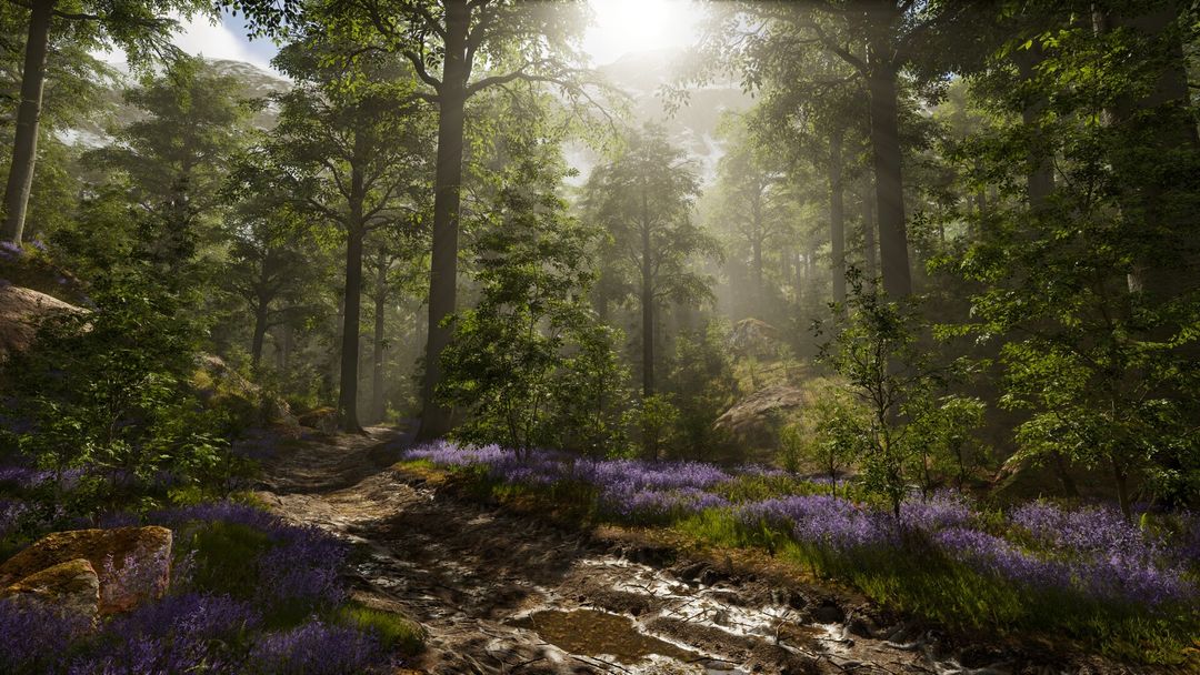Beech Forest (Full Nanite)