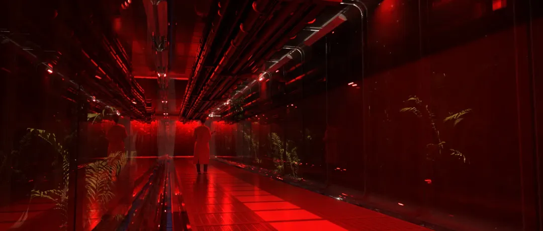 ALIEN: EARTH Concept Art : NRI Hallways