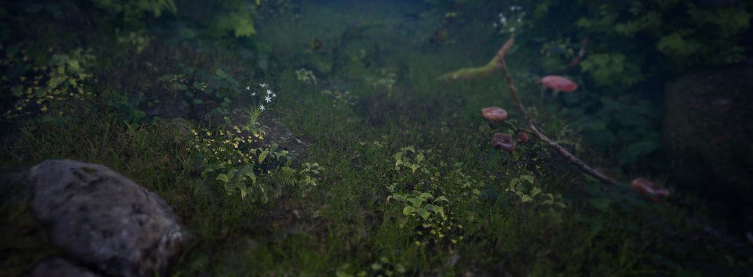 野外场景练习
