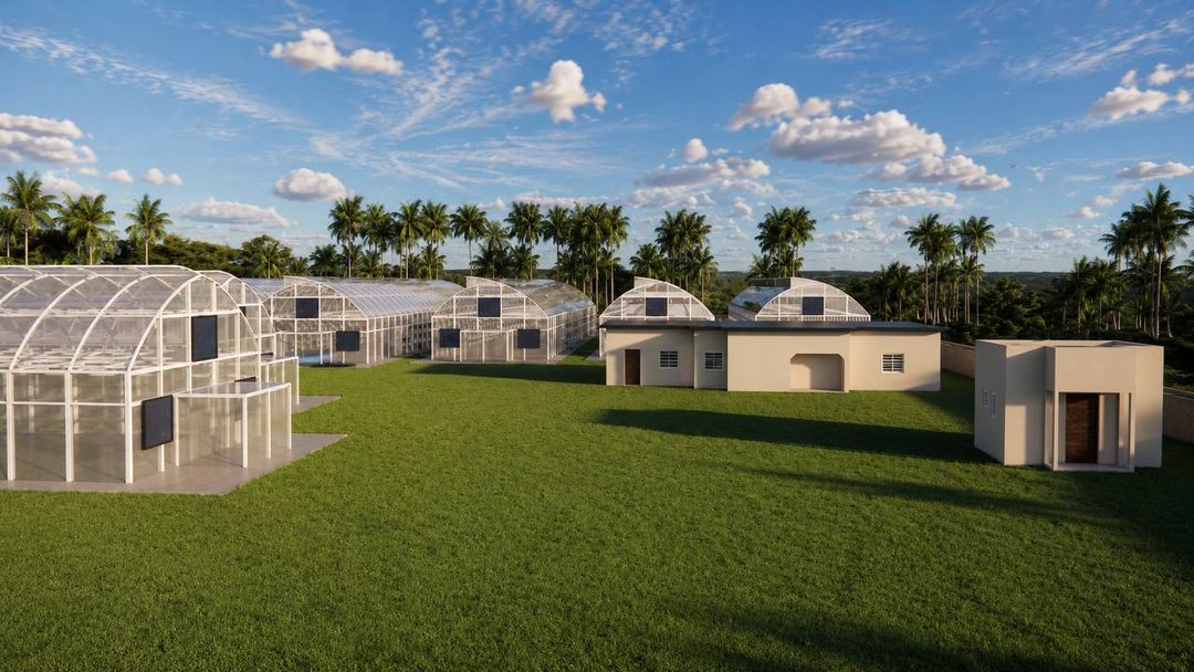 3D Greenhouse and farm layout design