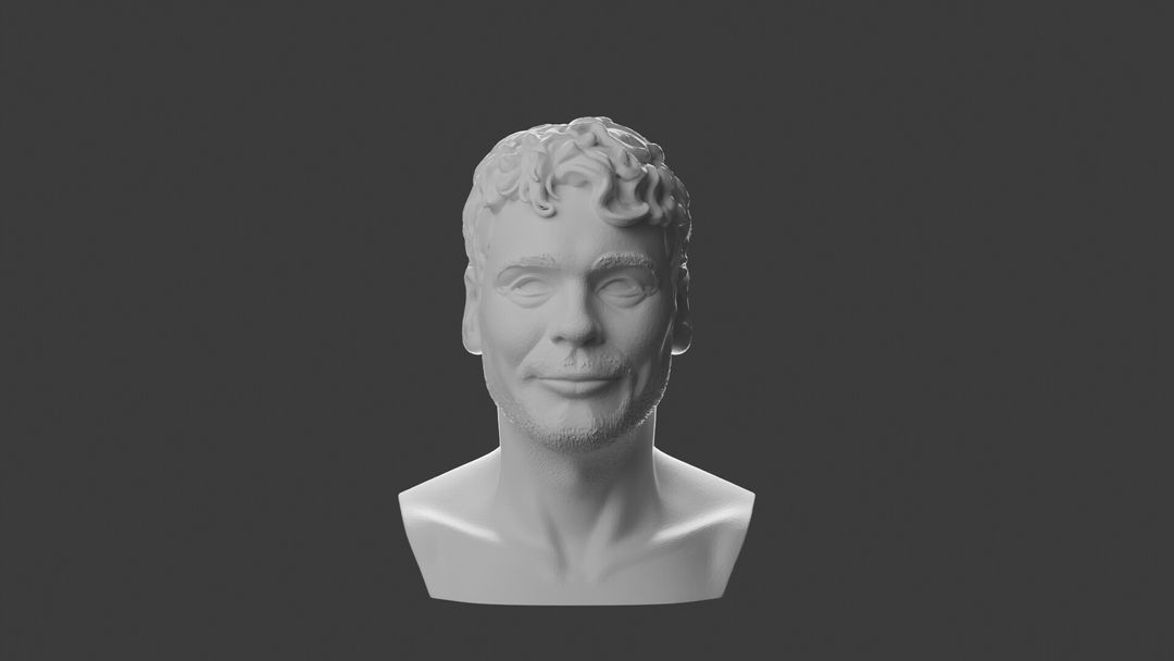 Custom Portrait Bust - 3D Print Ready