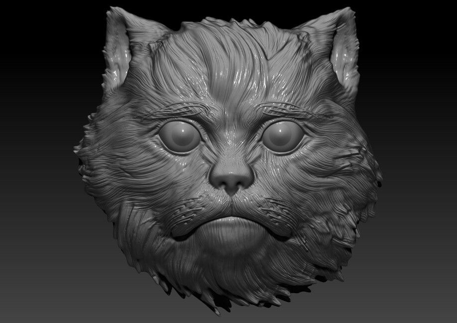 Persian Cat 3D model