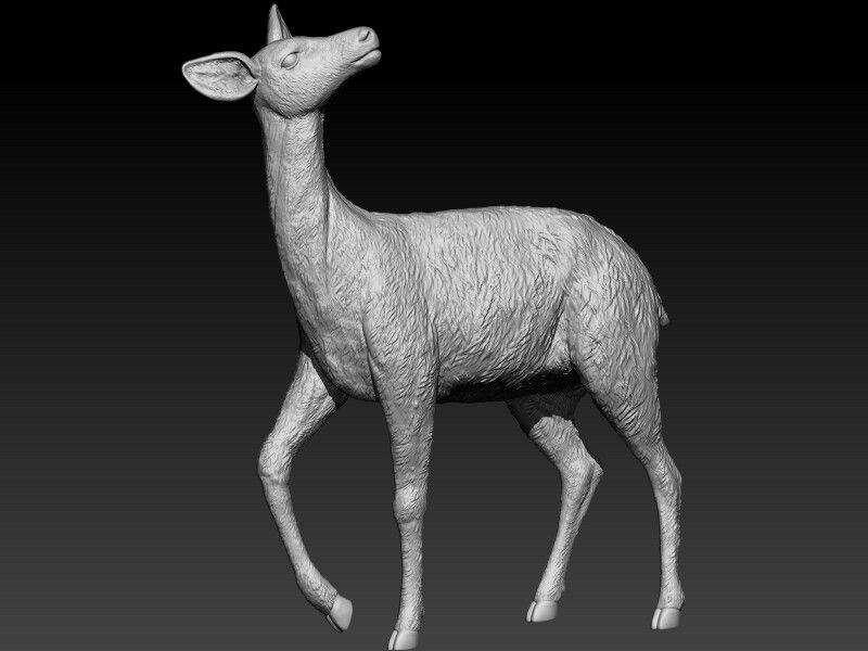 3D Deer Model Print Model