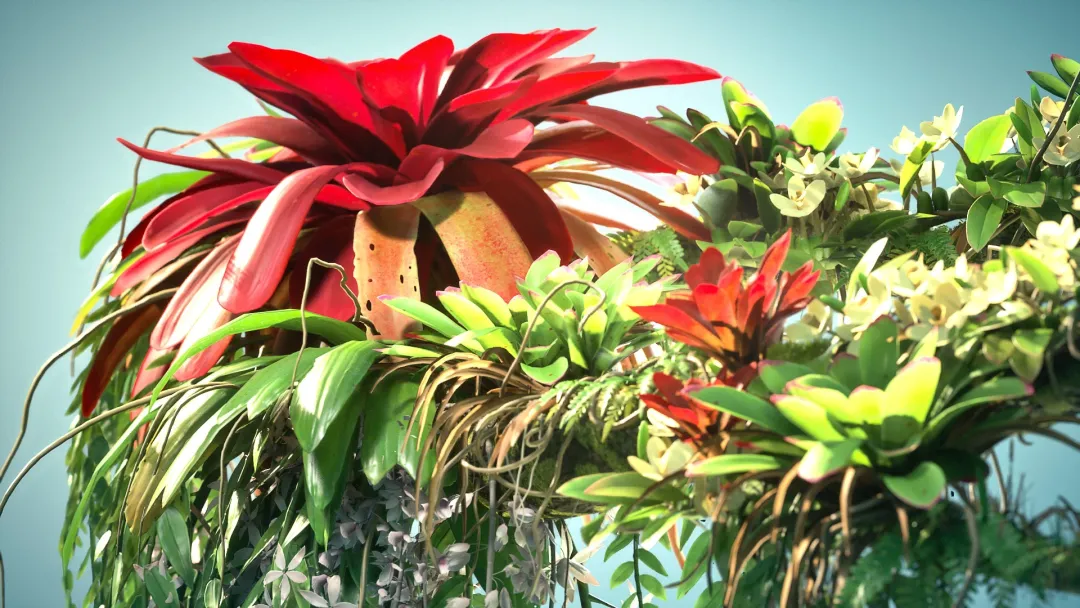 Branch with Epiphytes