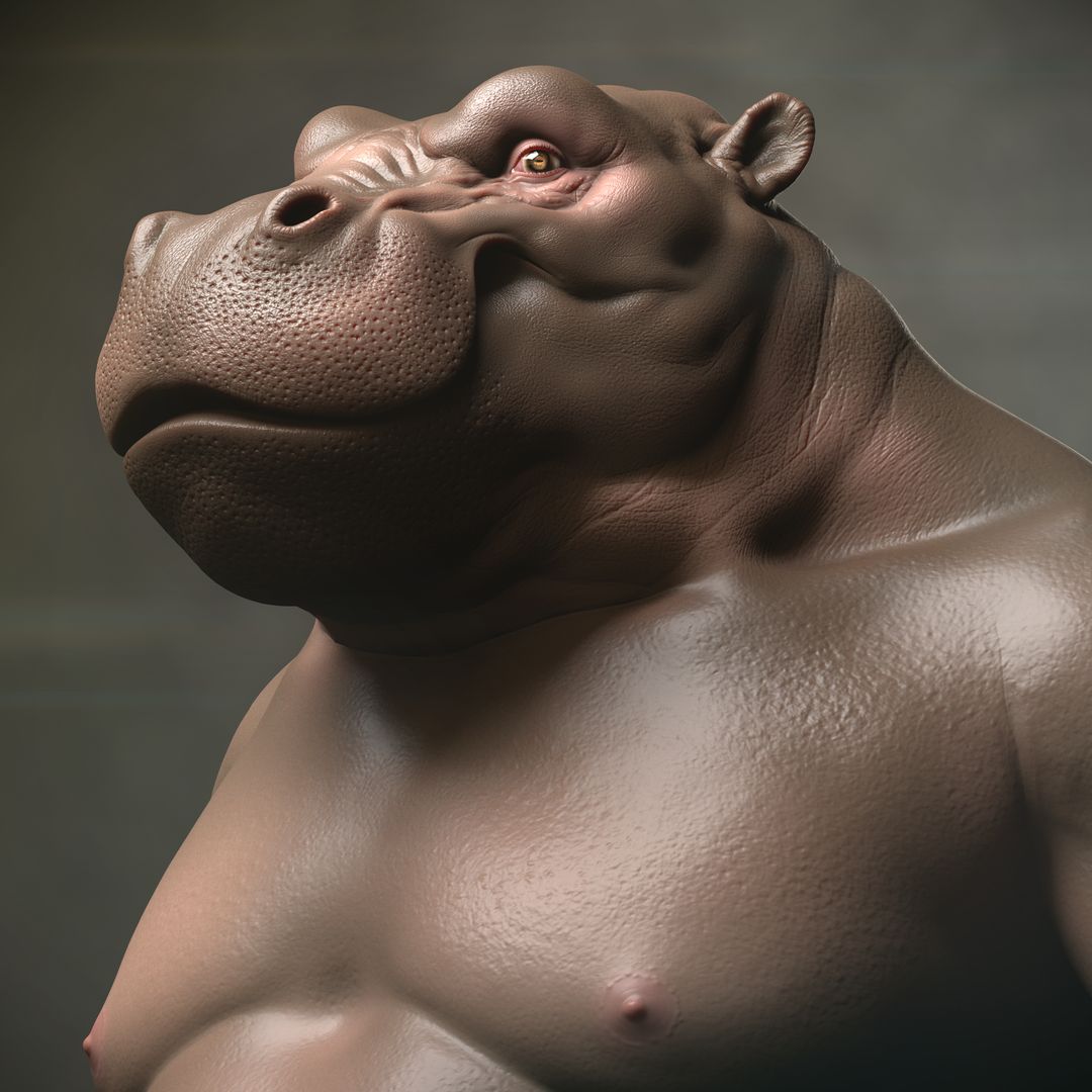 Hippo Old work