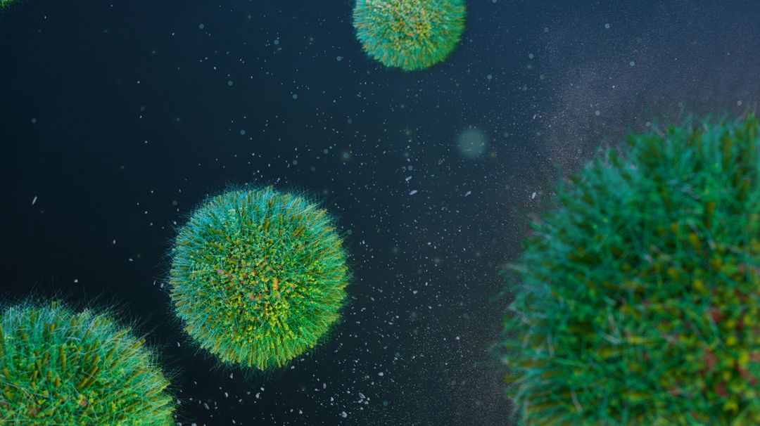 Viral Infection