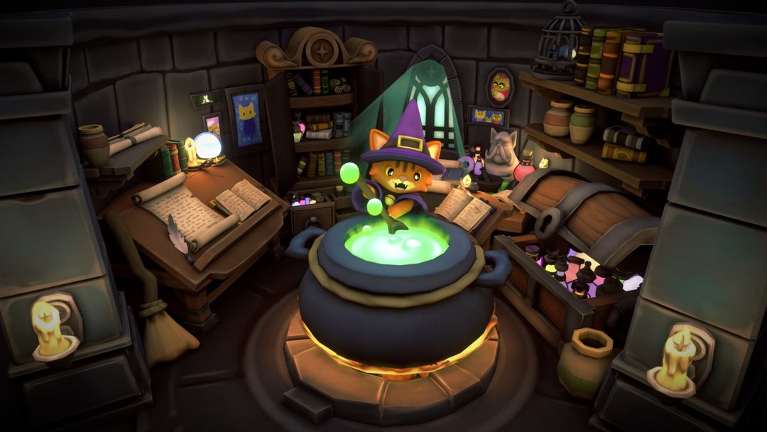 Cat Wizard