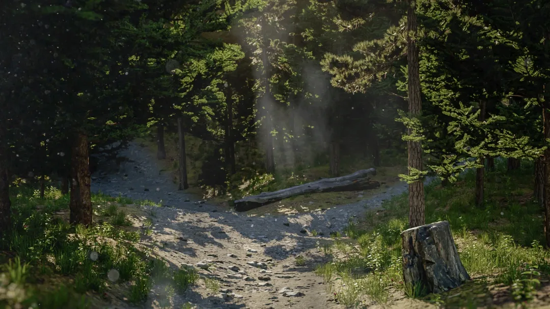 Bohemian Forest | Animation