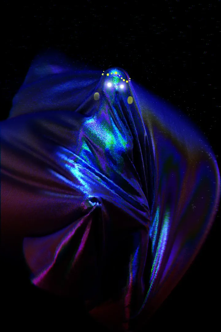 Hungry Ghosts of Disco