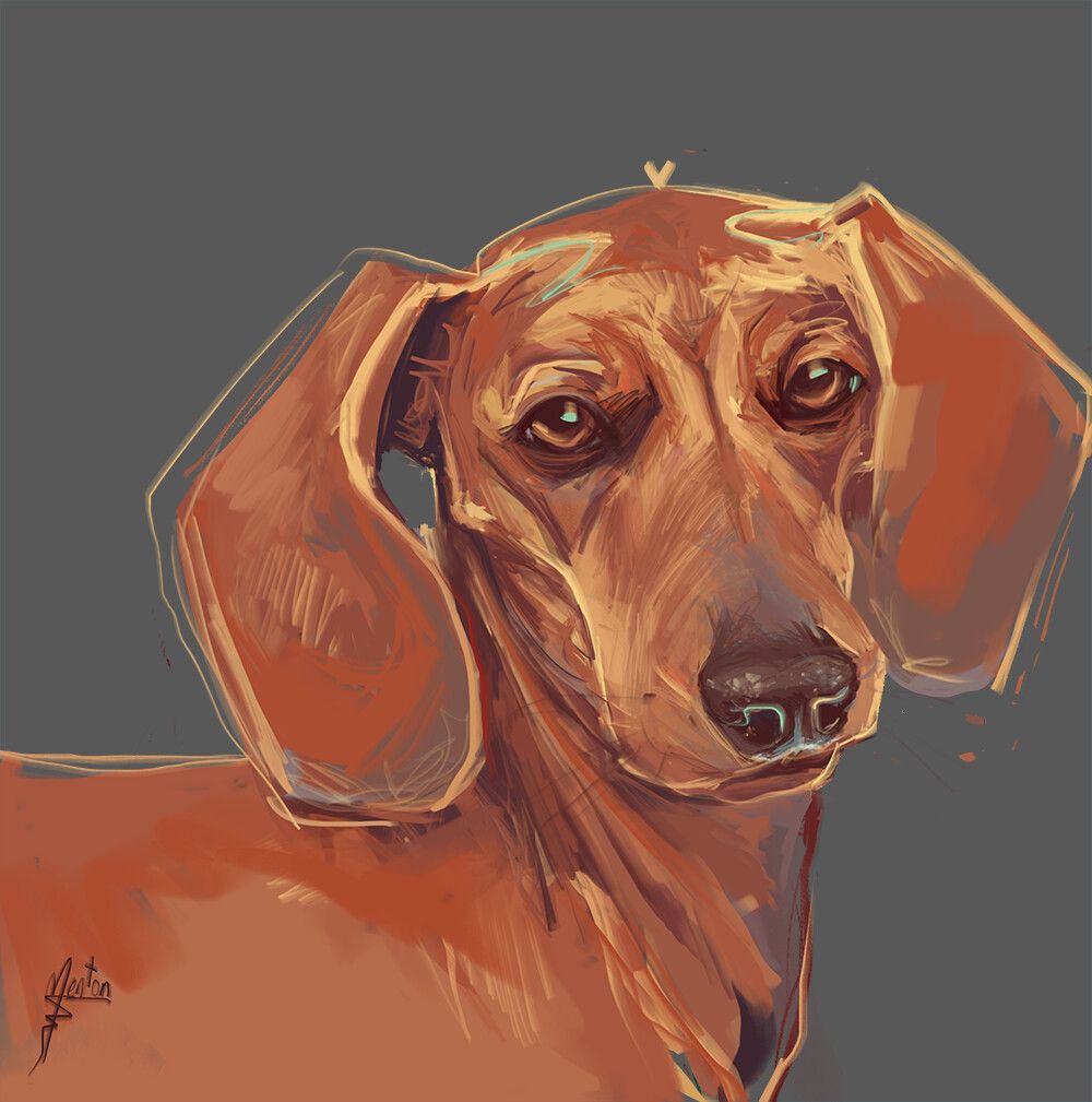 Random Studies