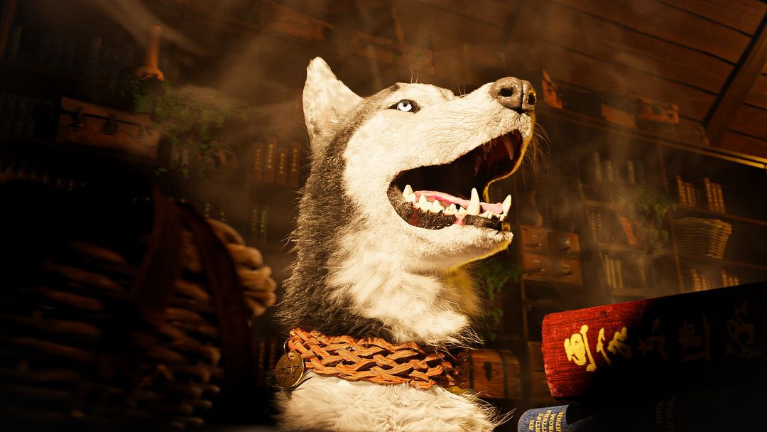 Photorealistic Siberian Husy - Inu at a Japanese Library