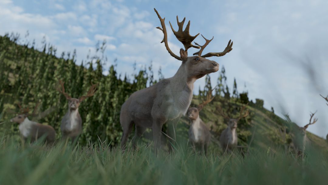 Alert on Plains