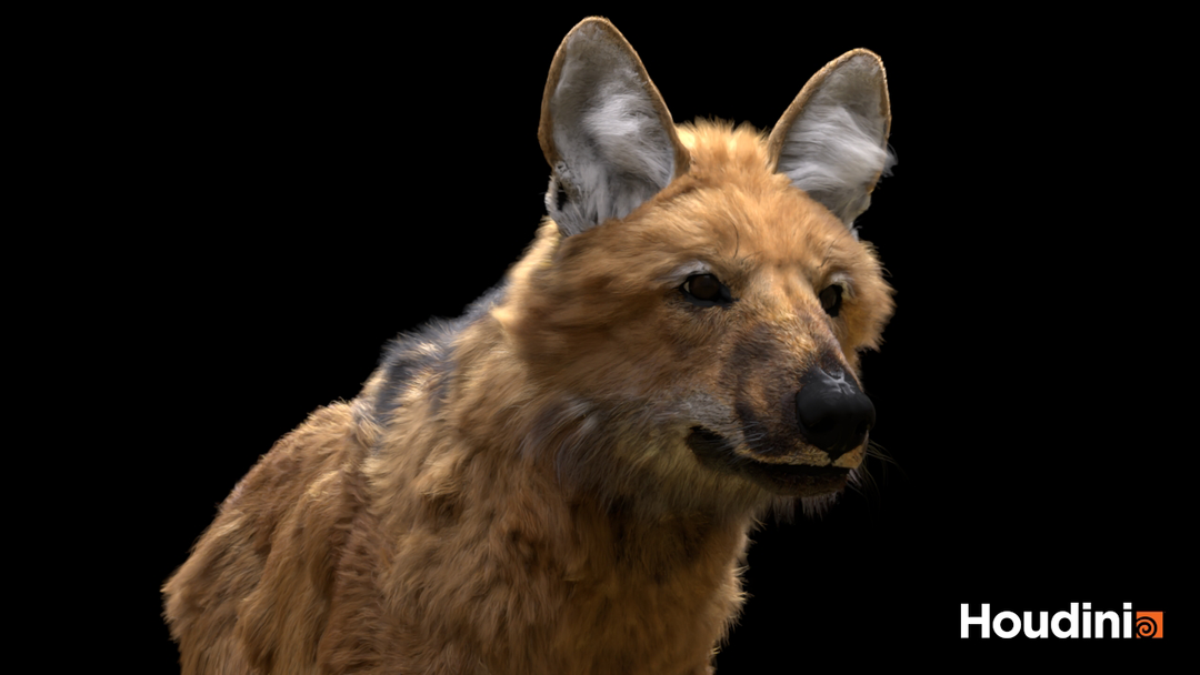 Photorealistic Maned Wolf