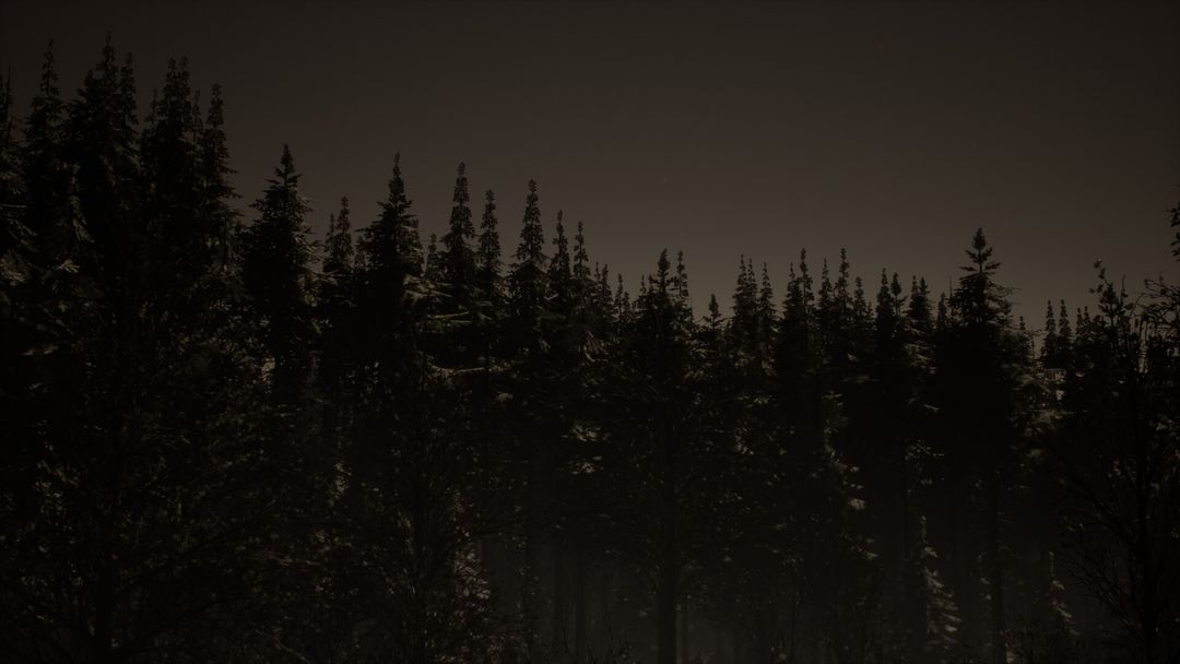 Night lighting on a snowy night