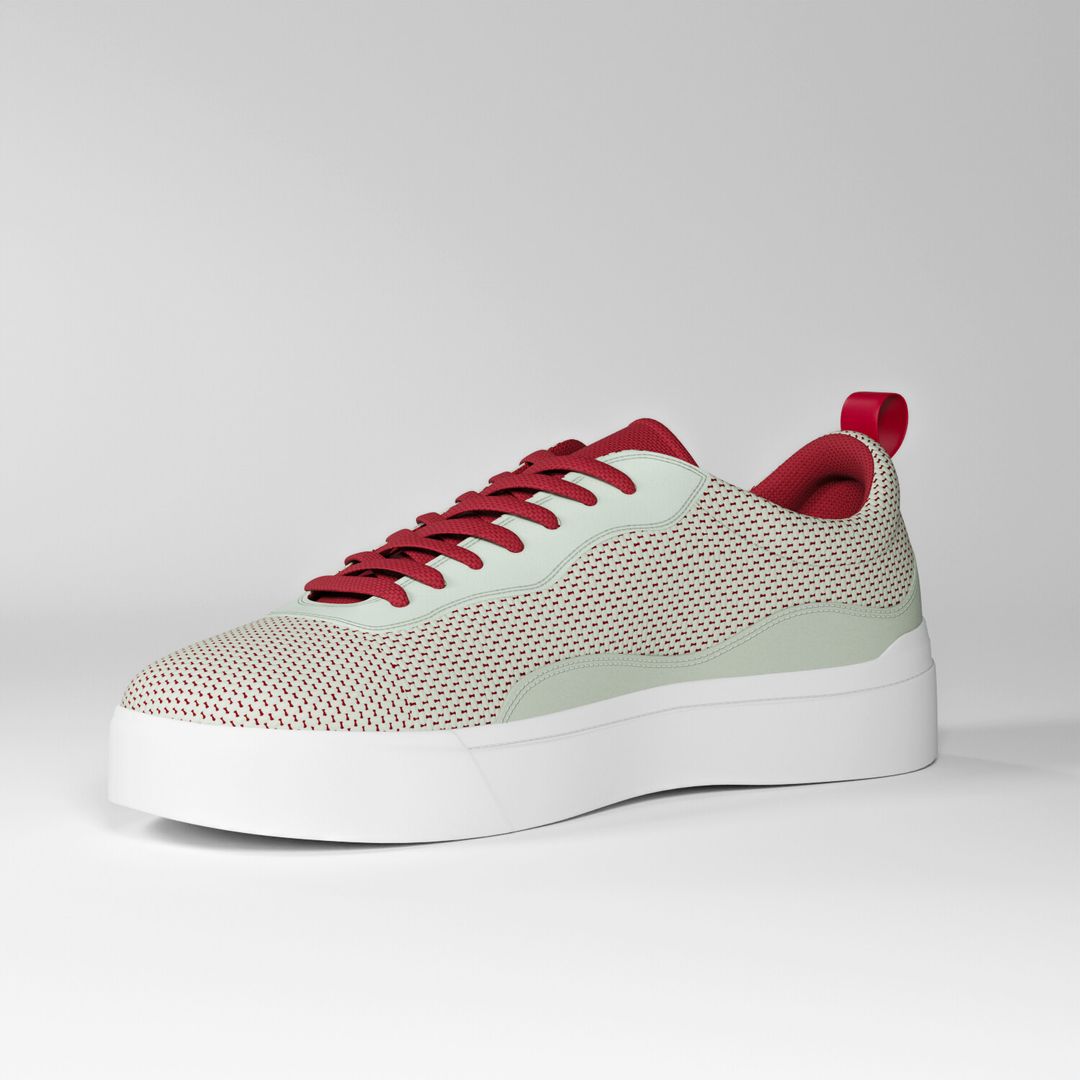 Casual Shoe Model