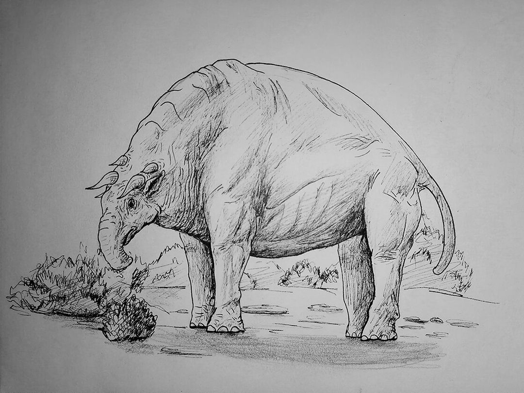Tapiphant