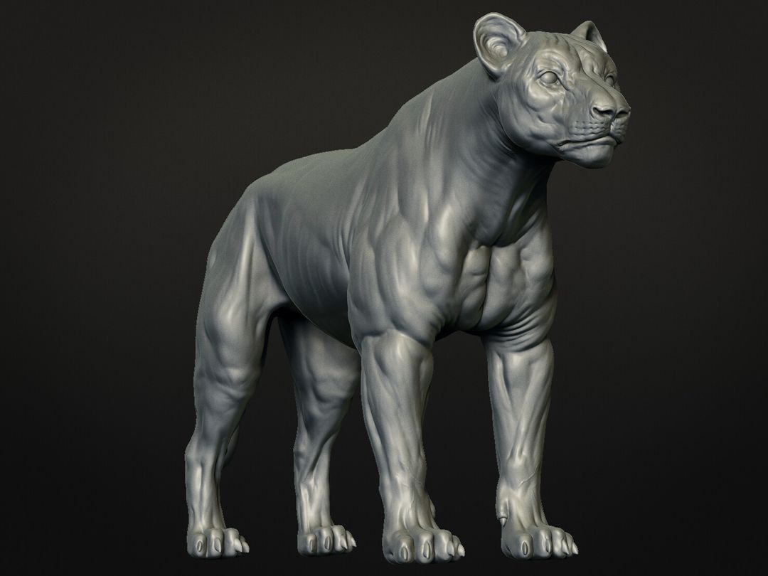 Lioness