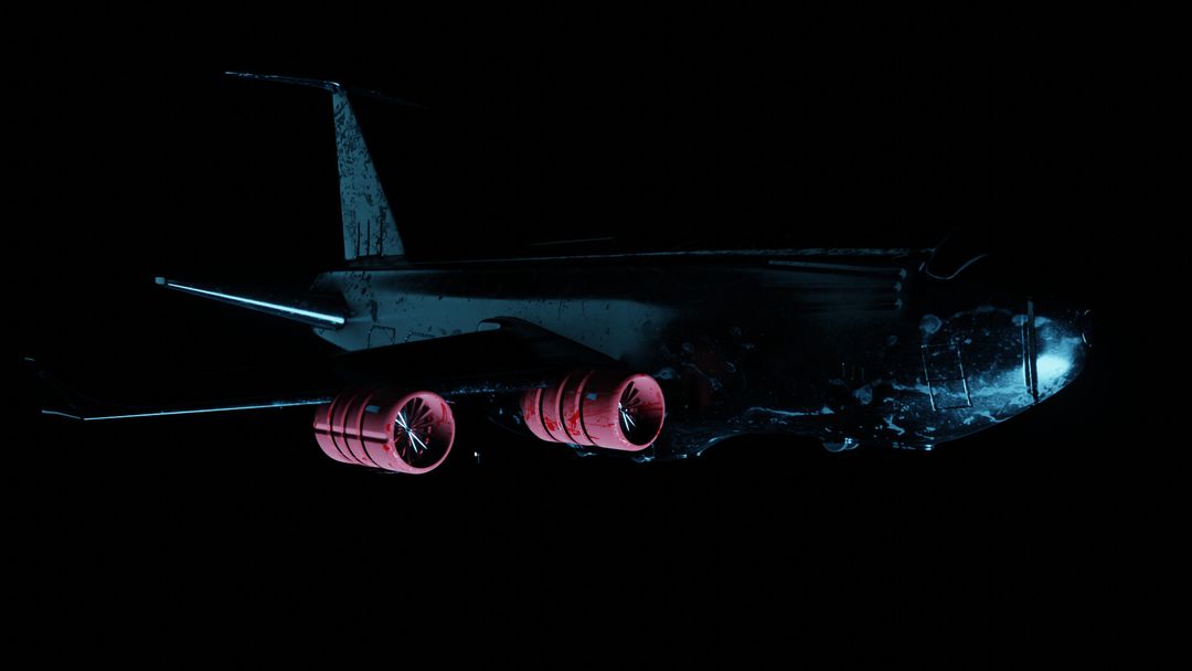 Plane cargo