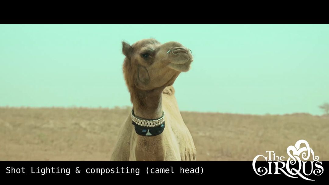 Bisleri commercial