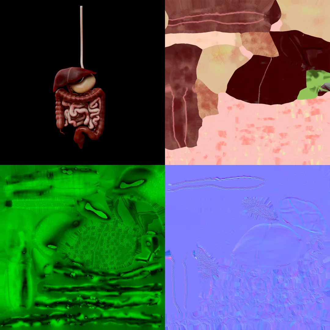 Digestive System