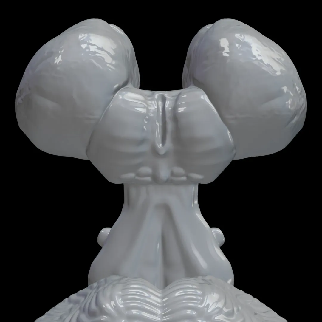 Human Brainstem