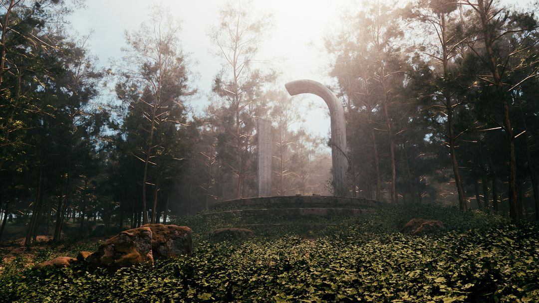 Forest