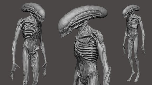 Alien Covenant: Xenomorph Modelling