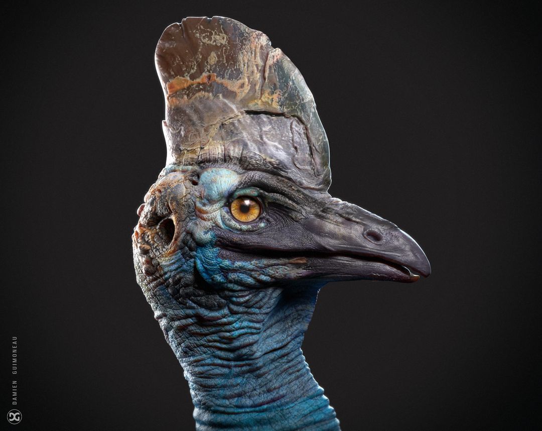 CASOAR | 3D Creature Modelling