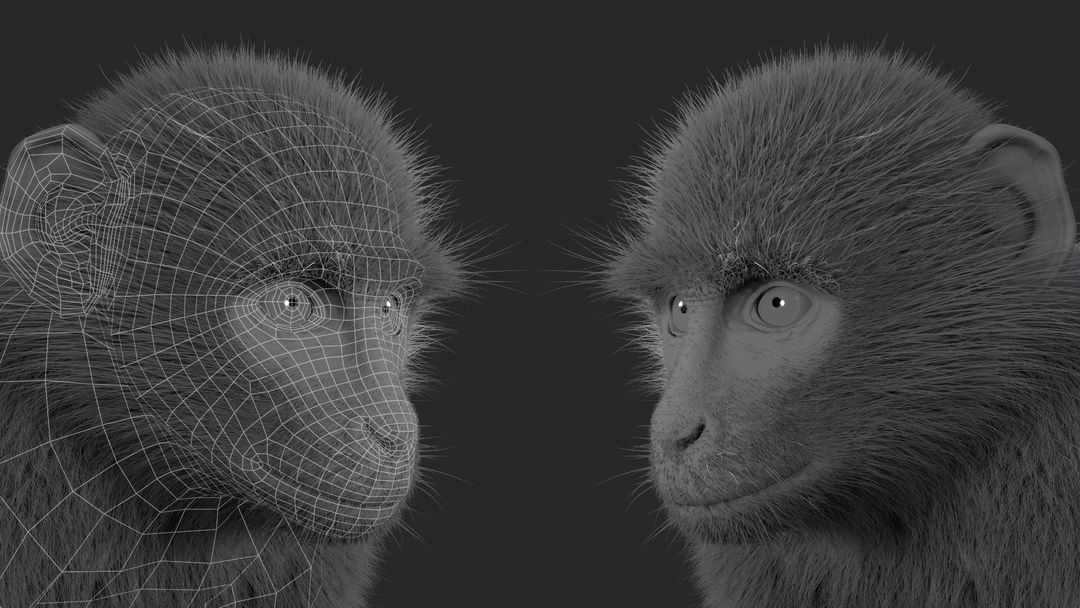 Monkey Ververt (Fur)