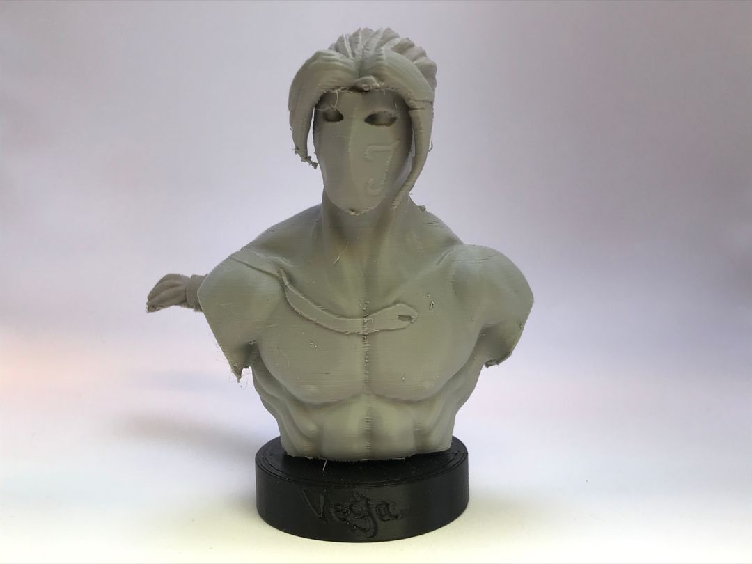 Vega Bust 3D Print