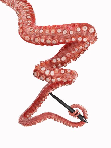 Z - Octopus tentacle