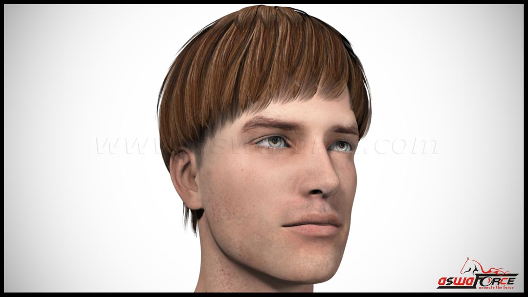 3D Animations: Characters