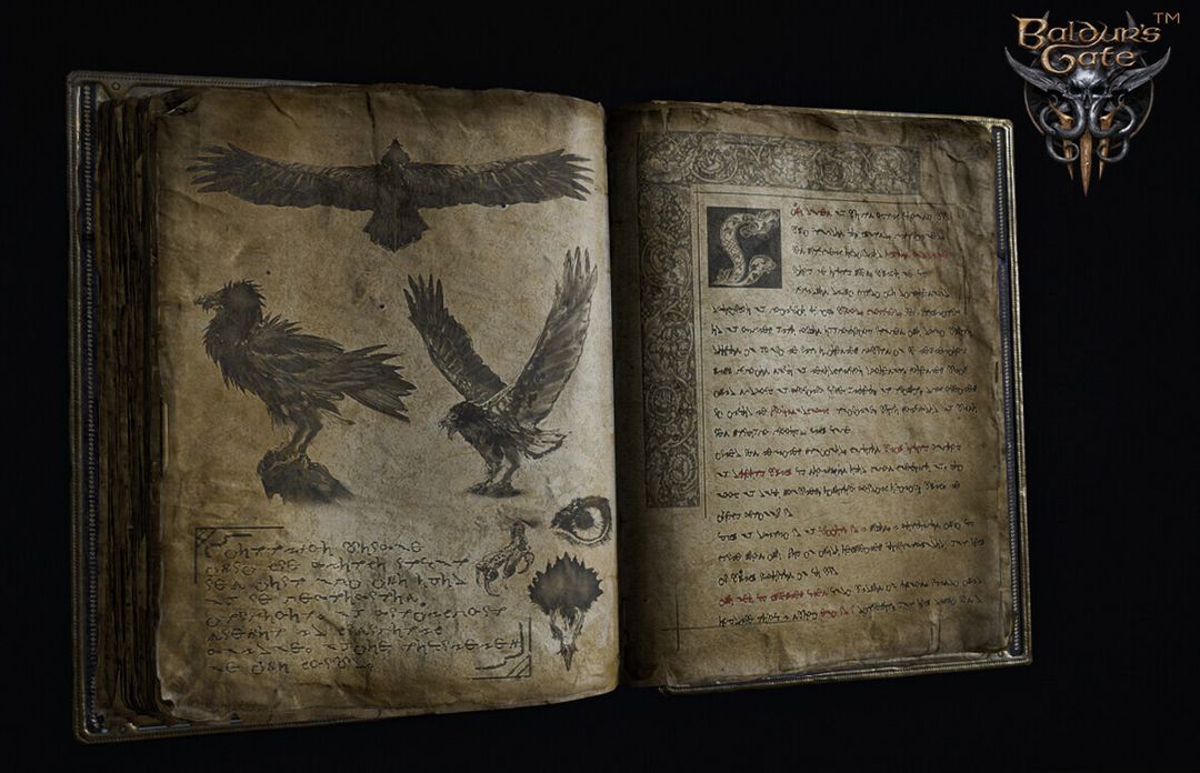 Props and Environment art made for Larian Baldur's Gate 3