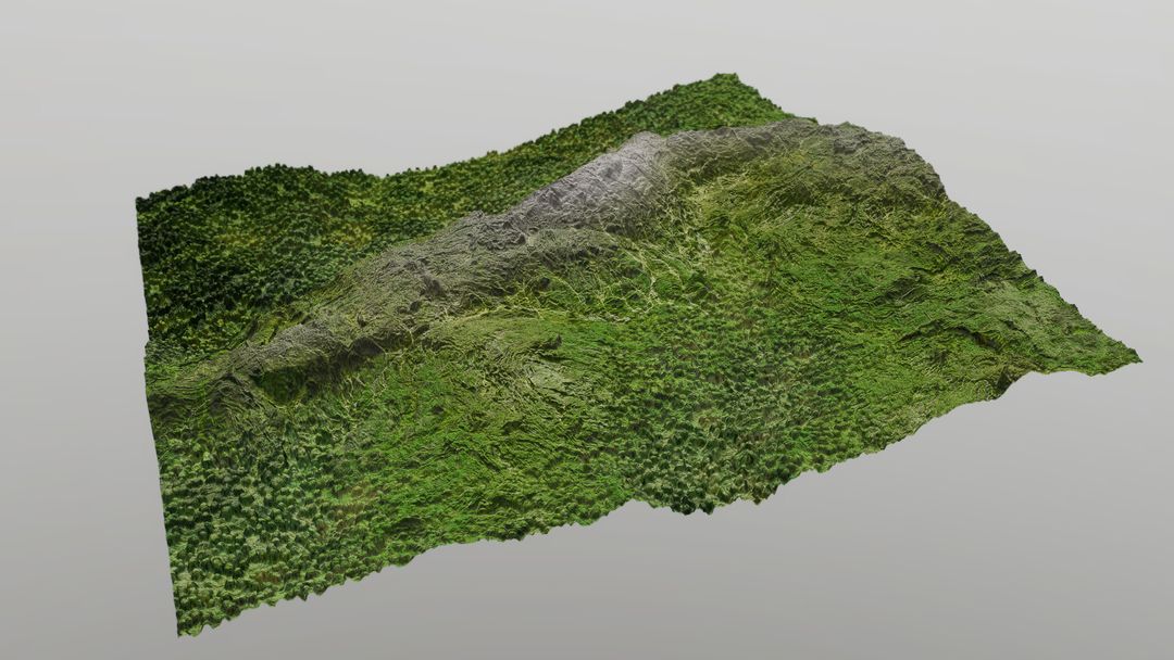 Distant fake trees on Jungle Landscape