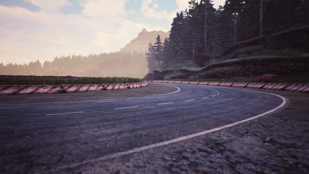 Forest Racing Track Environment