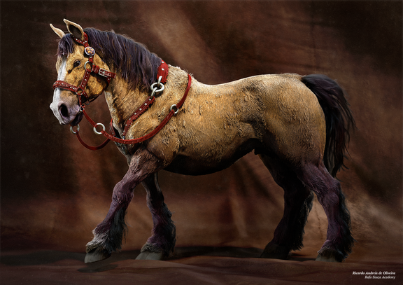 Horse Study | 3D Creature Modelling